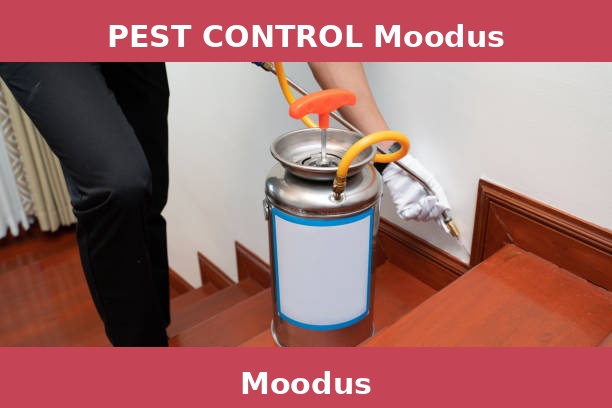 PEST CONTROL Moodus